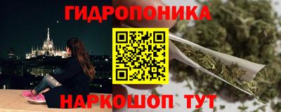 сатива Можга