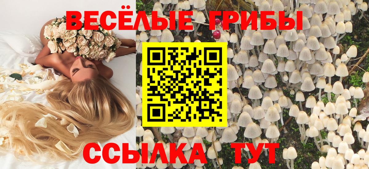 Фурманов  Псилоцибиновые грибы ЛСД  Вход с VPN 